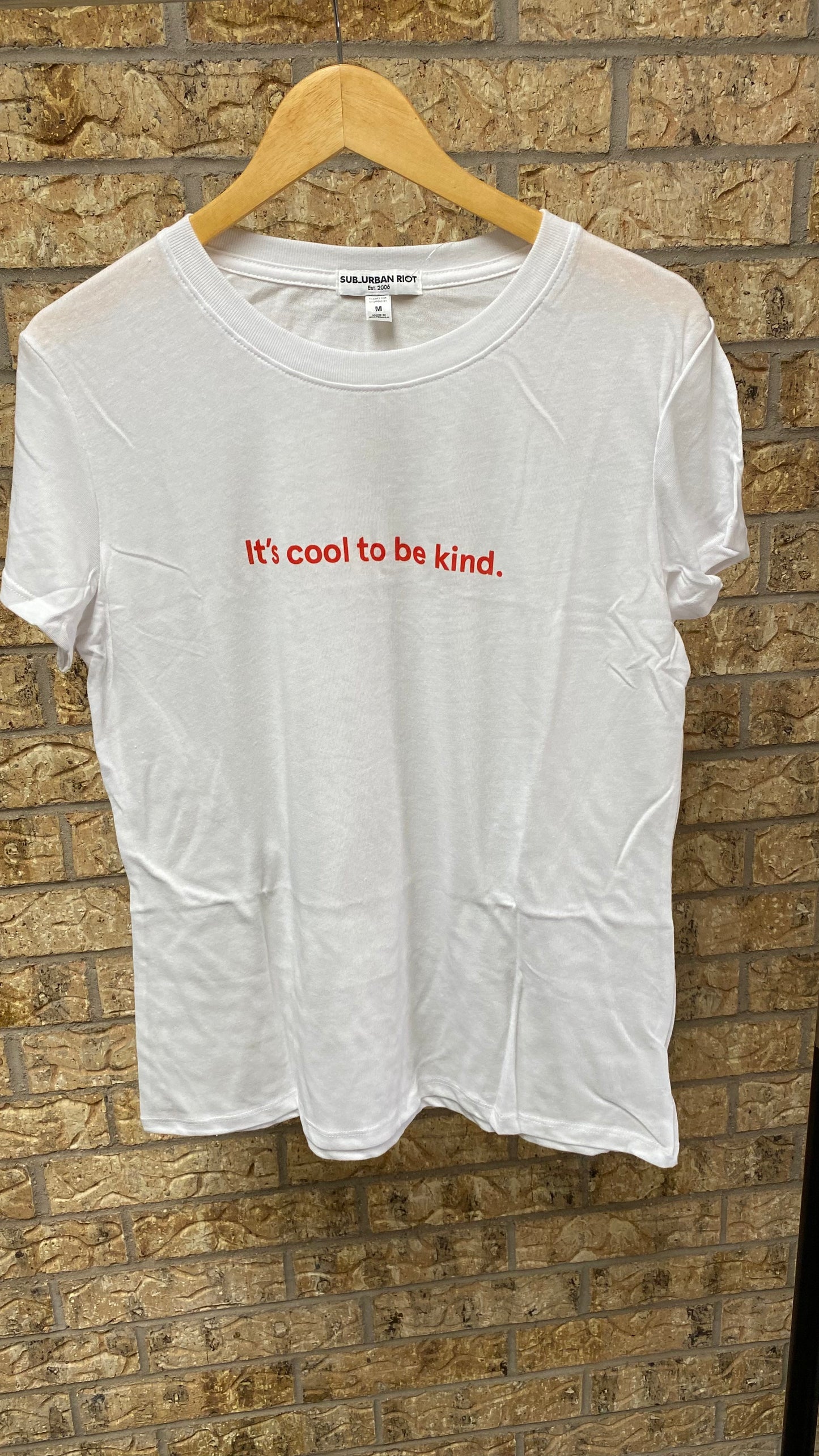 It's Cool to Be Kind. Tee